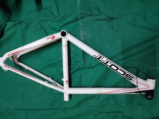 Scott scale 35