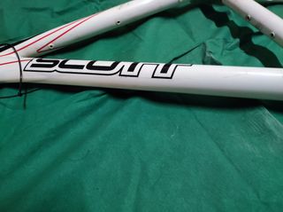Scott scale 35