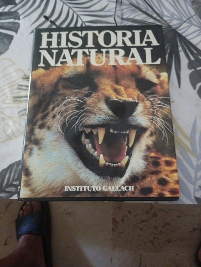Historia natural tomo 1