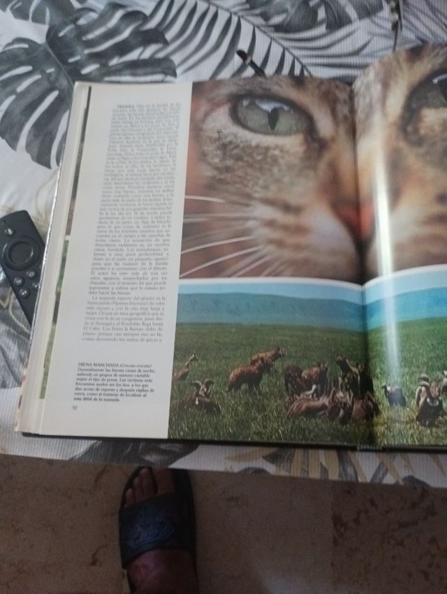 Historia natural tomo 1