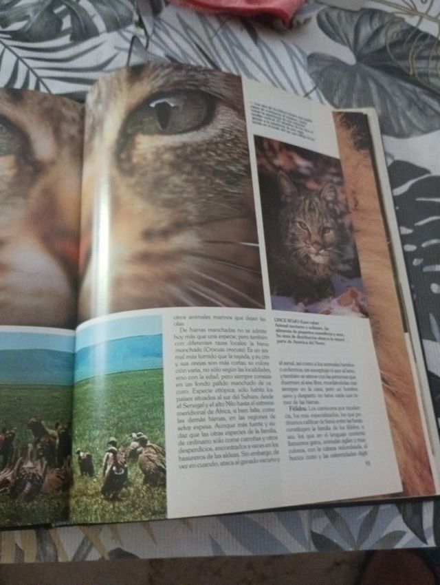 Historia natural tomo 1