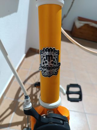 Mongoose maurici FIXIE