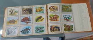 Colección de cromos antigua vida y color.