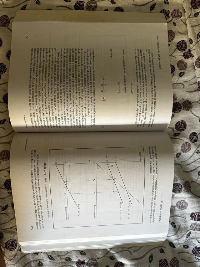 Macroeconomía fundamental I