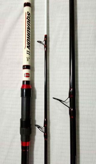 CANNA DA PESCA PENN