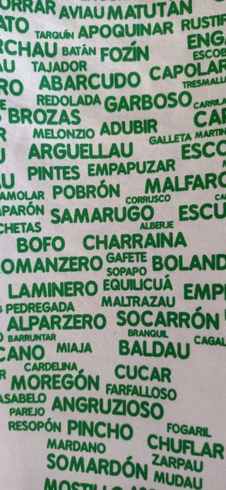 CAMISETA BLANCA+PAÑOLETA (TODO A ESTRENAR))