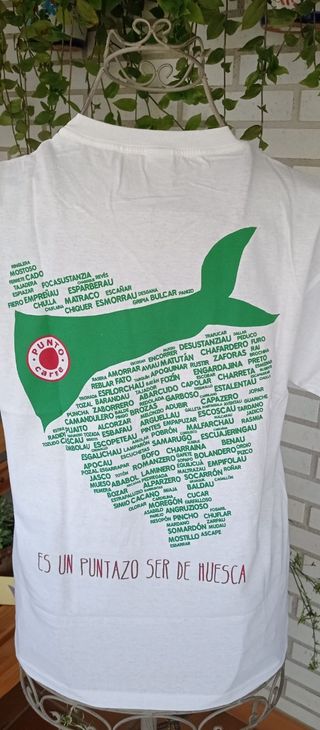 CAMISETA BLANCA+PAÑOLETA (TODO A ESTRENAR))