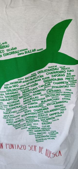 CAMISETA BLANCA+PAÑOLETA (TODO A ESTRENAR))