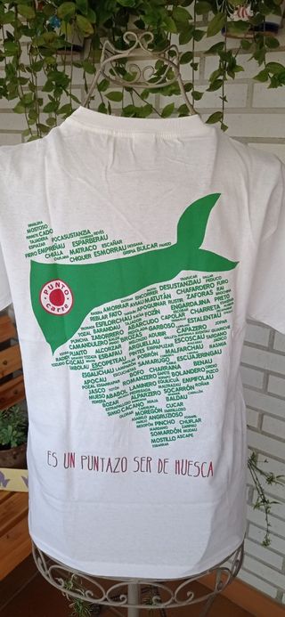 CAMISETA BLANCA+PAÑOLETA (TODO A ESTRENAR))