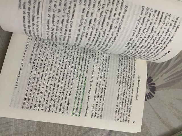 San manuel bueno, martir