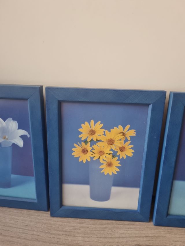 JUEGO DE 4 CUADROS DEVORATOVOS