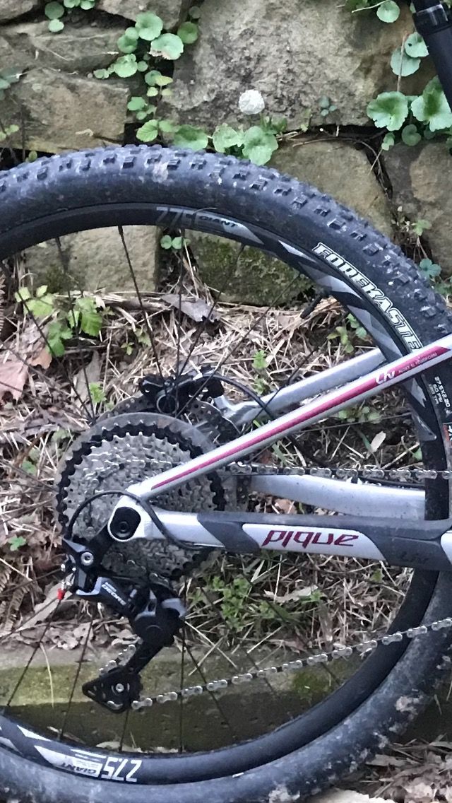 2 Maxxis Forekaster usadas