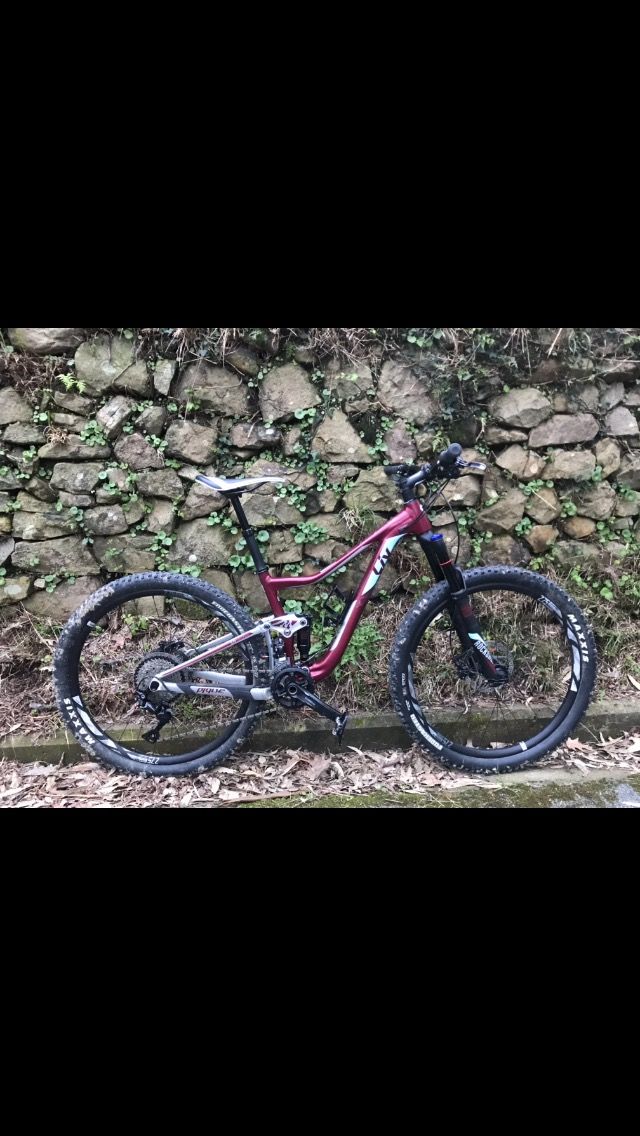 2 Maxxis Forekaster usadas