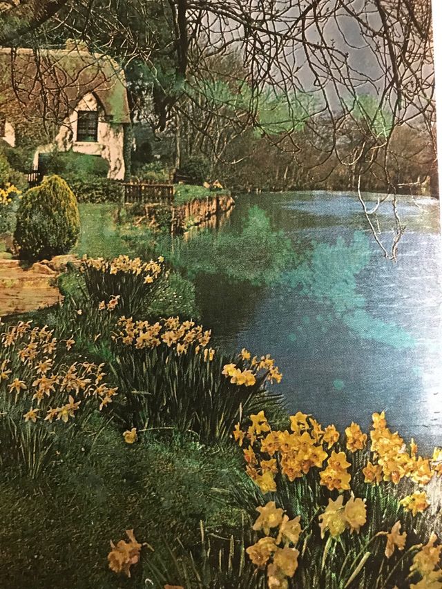 Foto da incorniciare