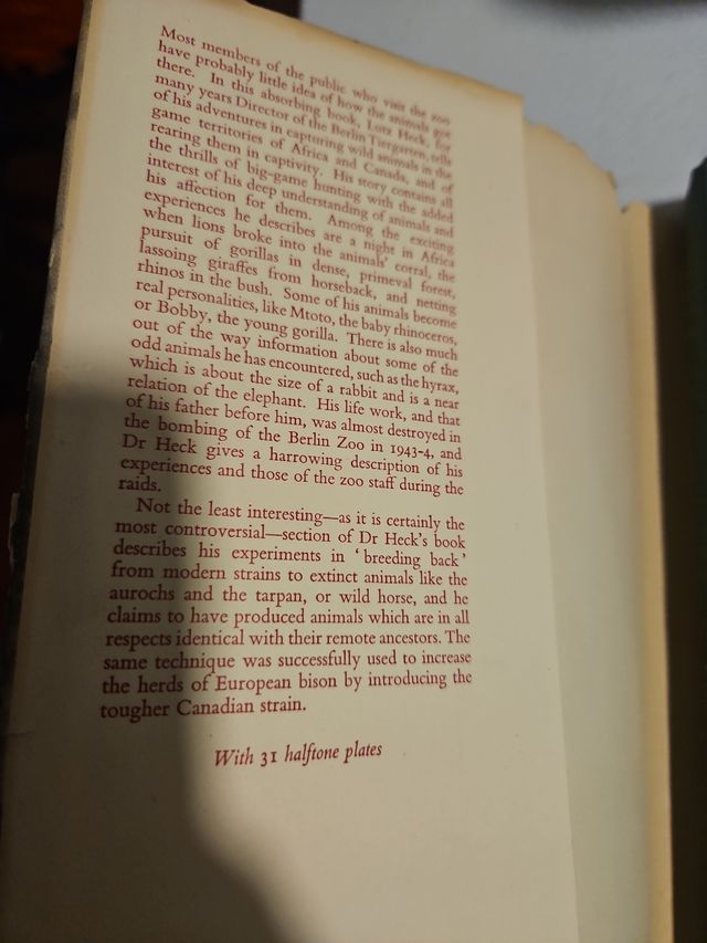 Animals my adventure