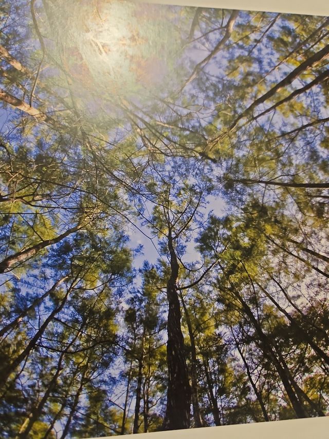 Everglandes ,parques nacionales