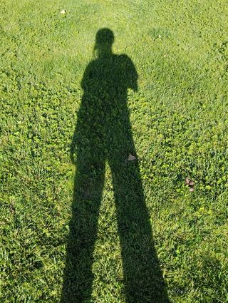 Limpio casas, cuido niños y mayores.