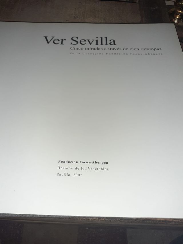 Libro Ver Sevilla año 2002