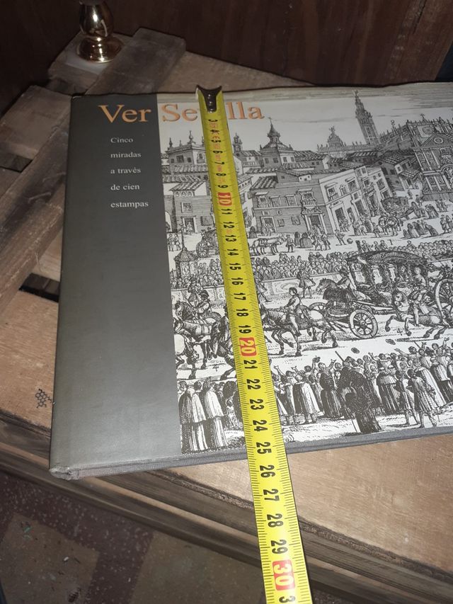Libro Ver Sevilla año 2002