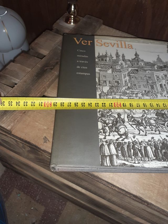 Libro Ver Sevilla año 2002