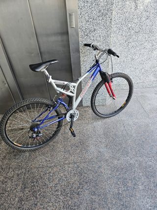 Bicicleta de montaña 