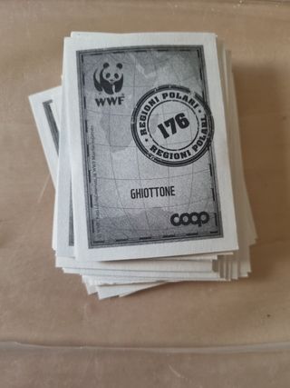 Figurine WWF