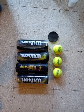 Pelotas Wilson 