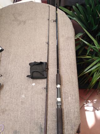 Pesca