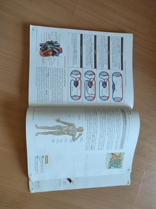 Biologia y Geología Bachillerato