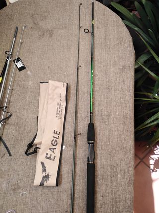 Pesca 