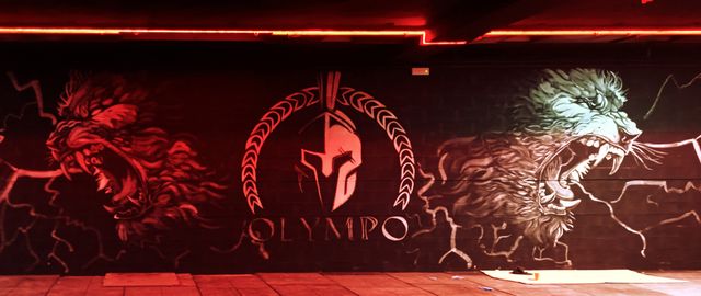 GRAFFITI-CARTEL-PINTOR-DECORA-MURAL-ESCAPARATE-ART