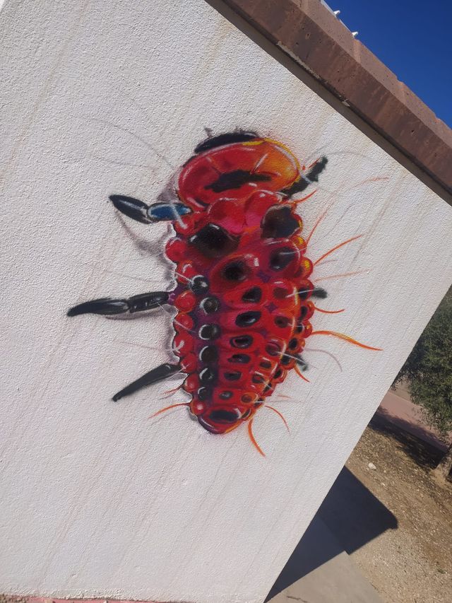 GRAFFITI-CARTEL-PINTOR-DECORA-MURAL-ESCAPARATE-ART