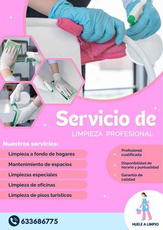 Servicio de limpieza profesional
