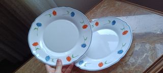 5 Platos porcelana
