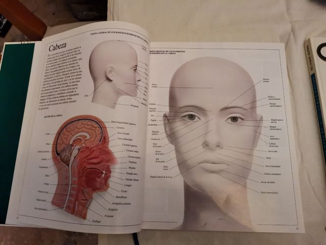 Enciclopedia Visual de los Seres Vivos