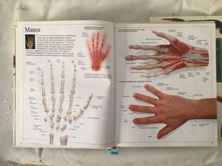 Enciclopedia Visual de los Seres vivos