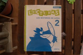 Primaria - Lecturas 2