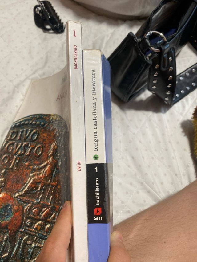 Dos libros bachiller