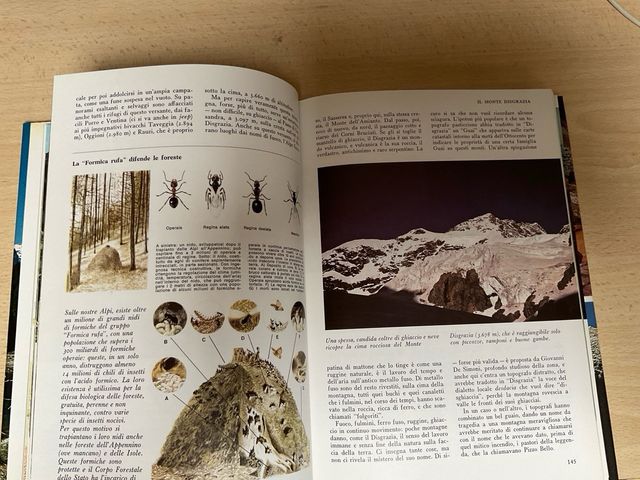 Libro SPLENDORE DELLA NATURA IN ITALIA 1977