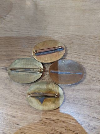 Pin insignia 