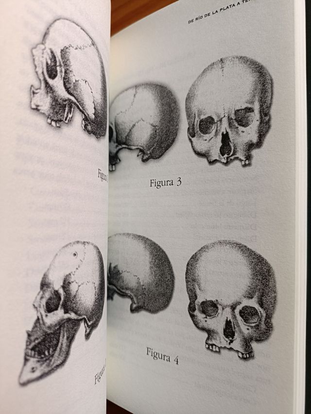 De Río de La Plata a Tenerife 