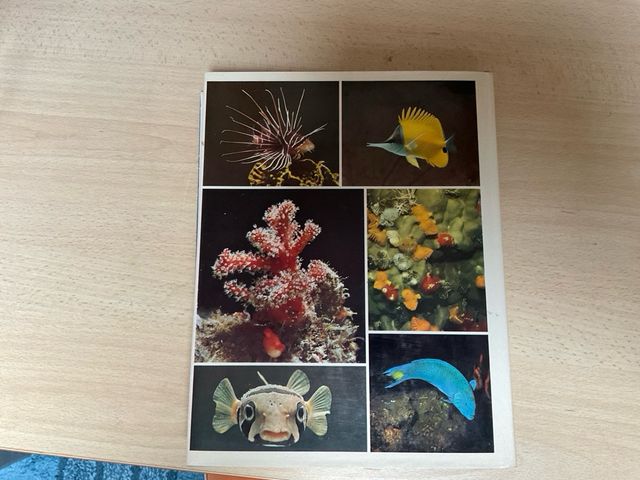 Libro I SEGRETI DEL MARE 1975 