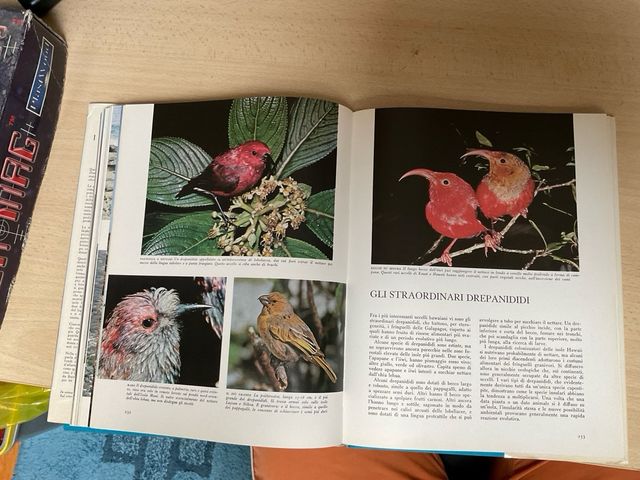 Libro I SEGRETI DEL MARE 1975 