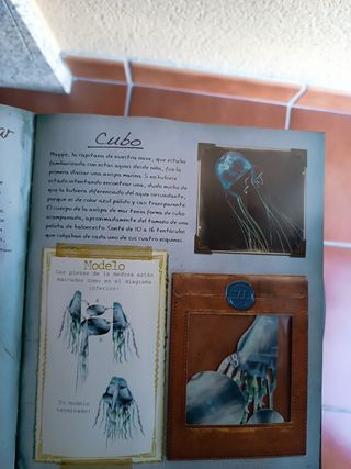 Libro Animales del océano