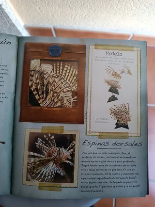 Libro Animales del océano