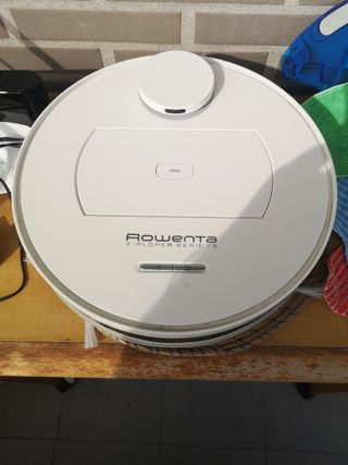 Aspirador Rowenta Xplorer 75