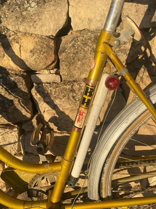 Bicicleta BH