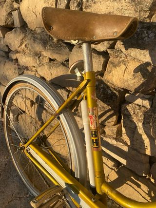 Bicicleta BH
