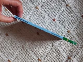 Billy Budd, marinero( H. Melville)