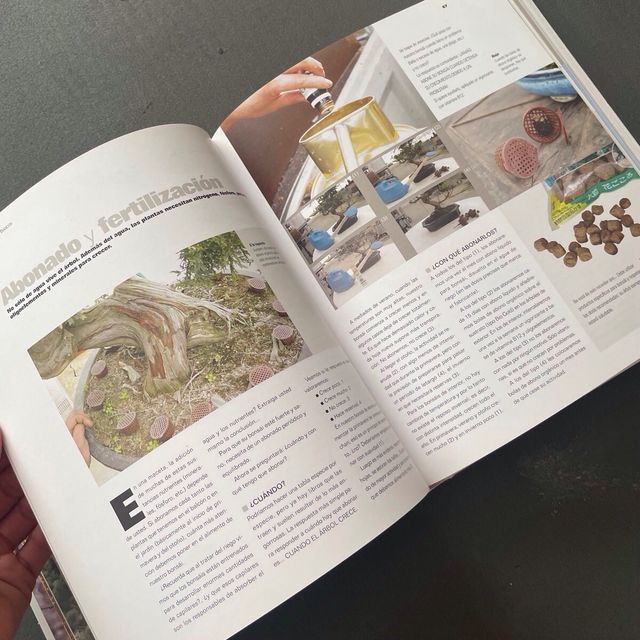 Libro El arte del Bonsái